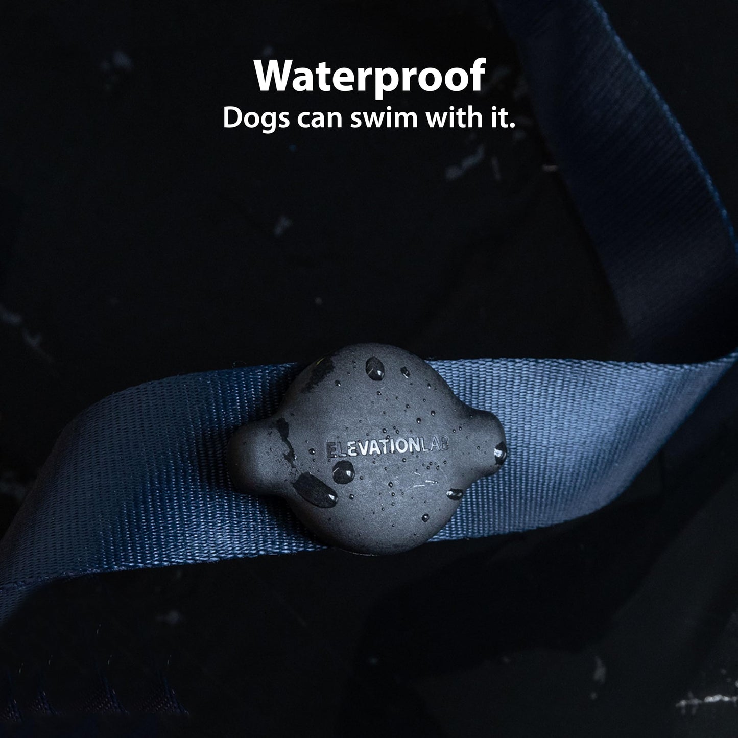 Elevation Lab TagVault™ Compact AirTag Dog Collar Mount - IP68 Waterproof, Doesn't Dangle, Fits All Width Collars